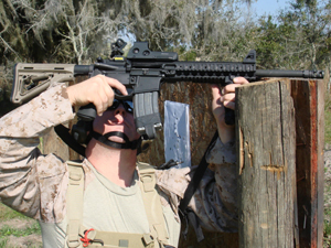 Mirror Sight Mirror Sight