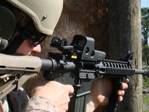 Mirror Sight Mirror Sight